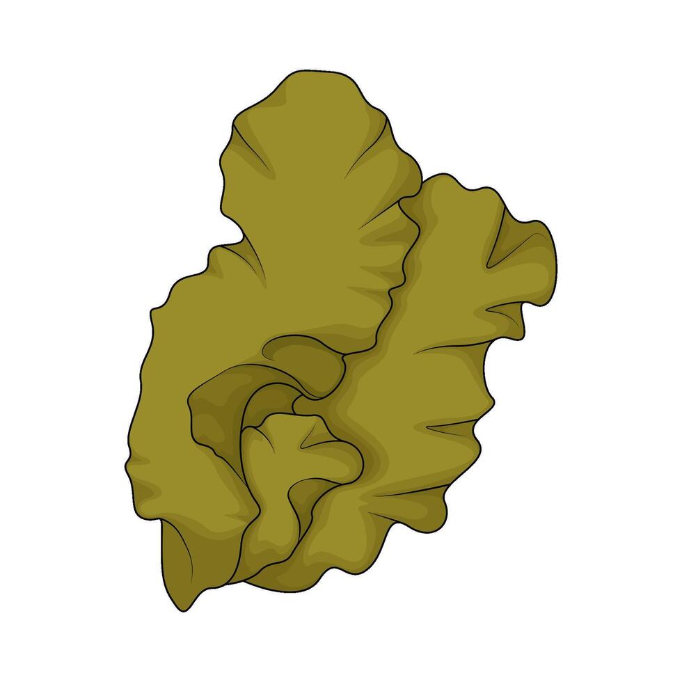 fresh green seaweed vector