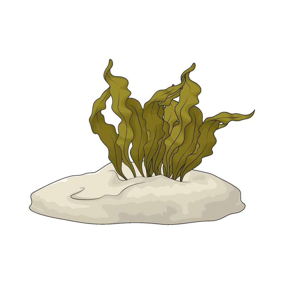 illustration of Green Seaweed vector