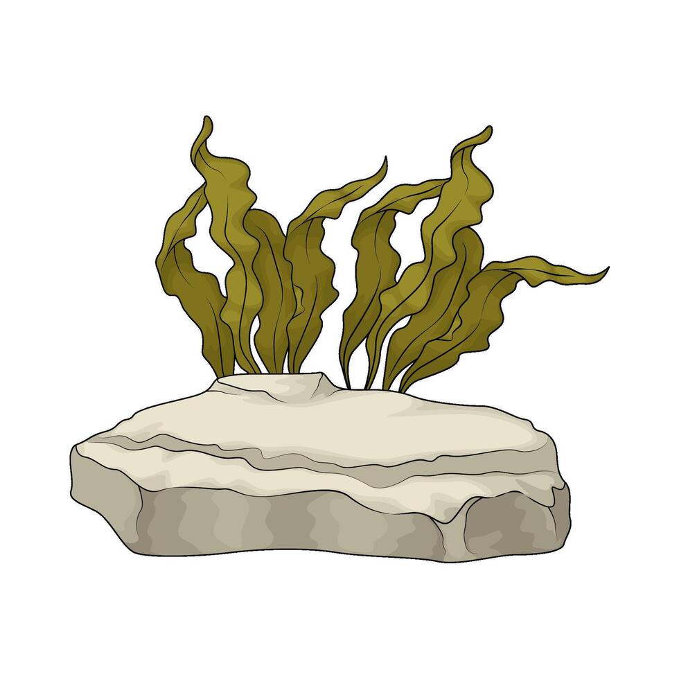 Green Seaweed illustration vector