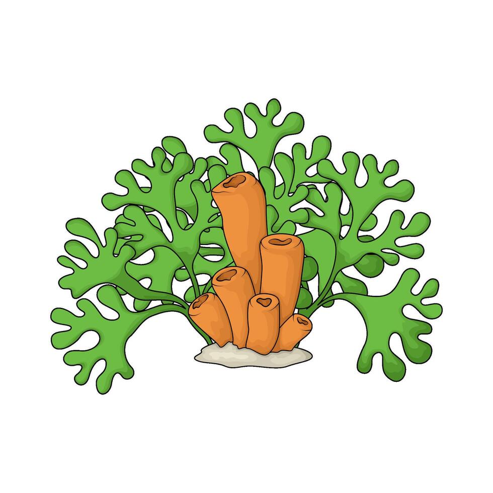 illustration of tube sponge and seaweed vector