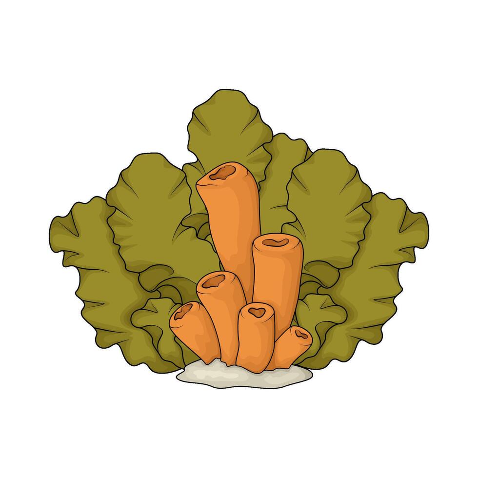 tube sponge and seaweed vector