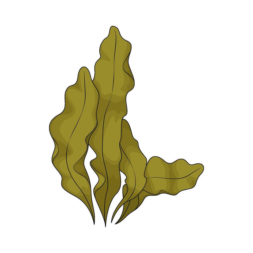 illustration of Seaweeds for health vector