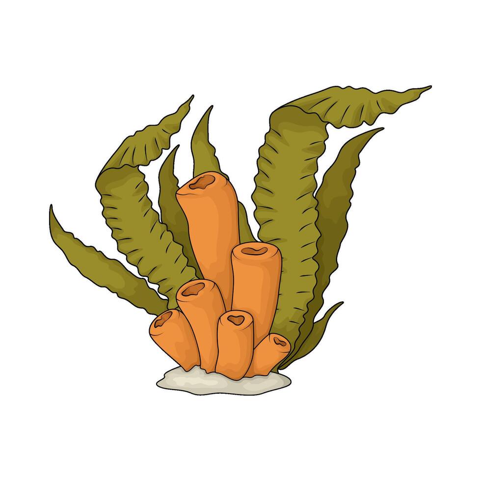 tube sponge with seaweed illustration vector