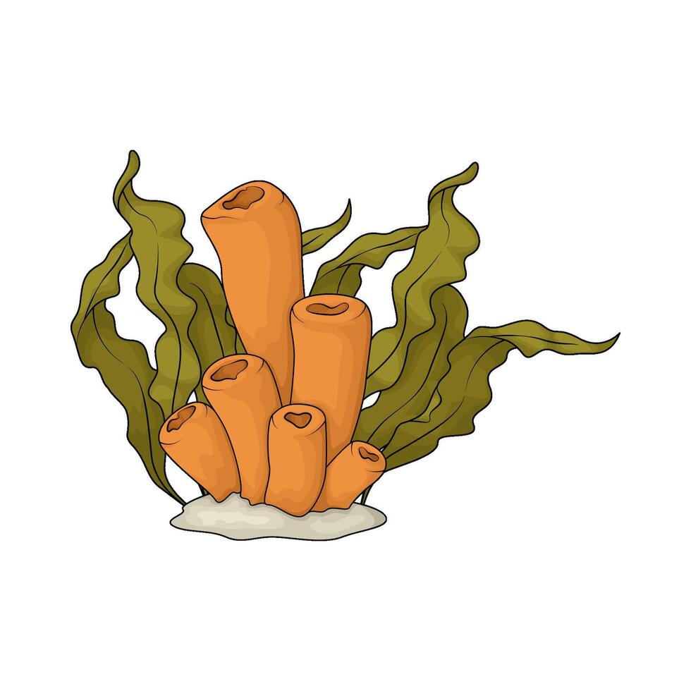illustration of tube sponge with seaweed vector