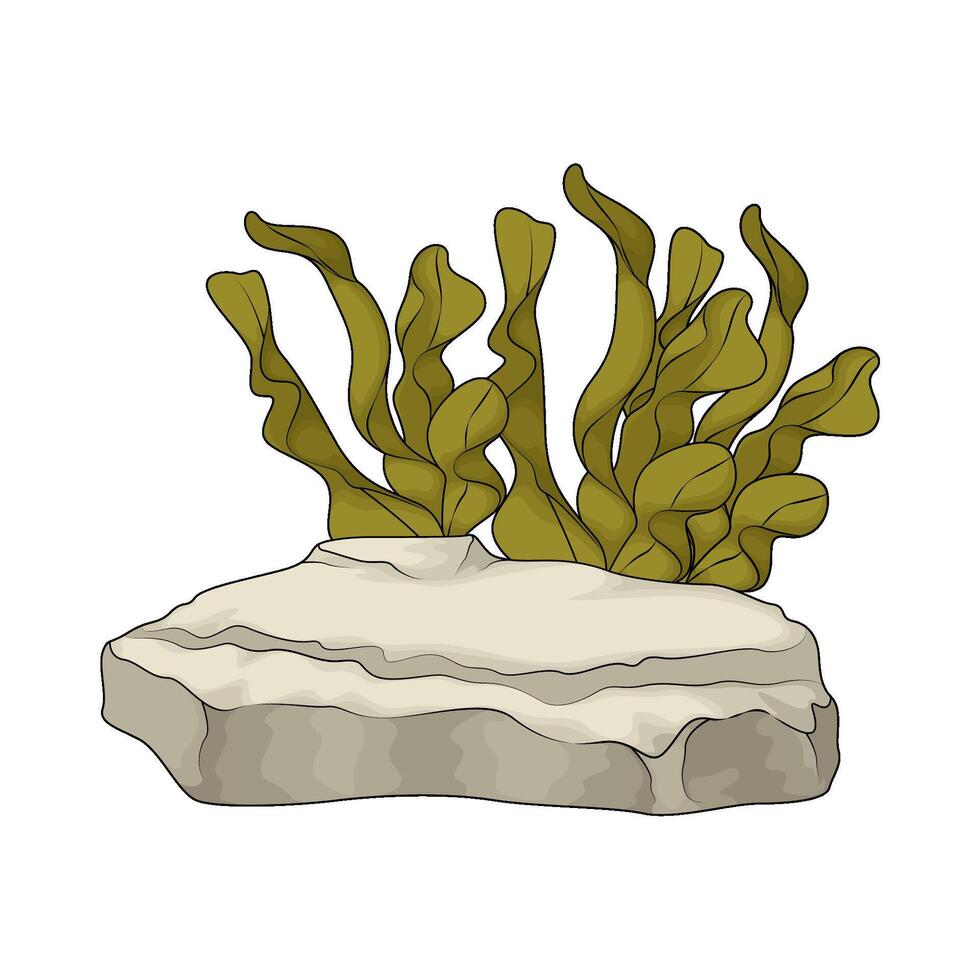 illustration of underwater stone with seaweed vector