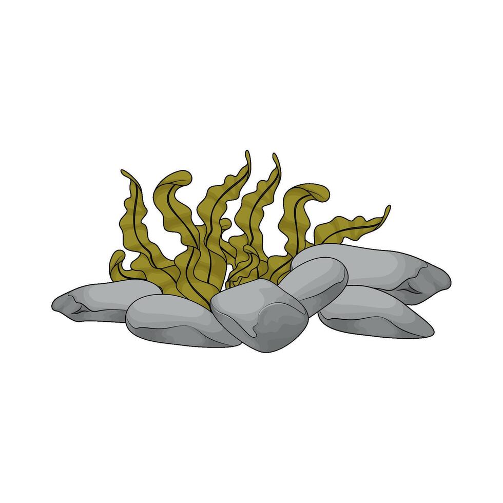 underwater stone with seaweed vector