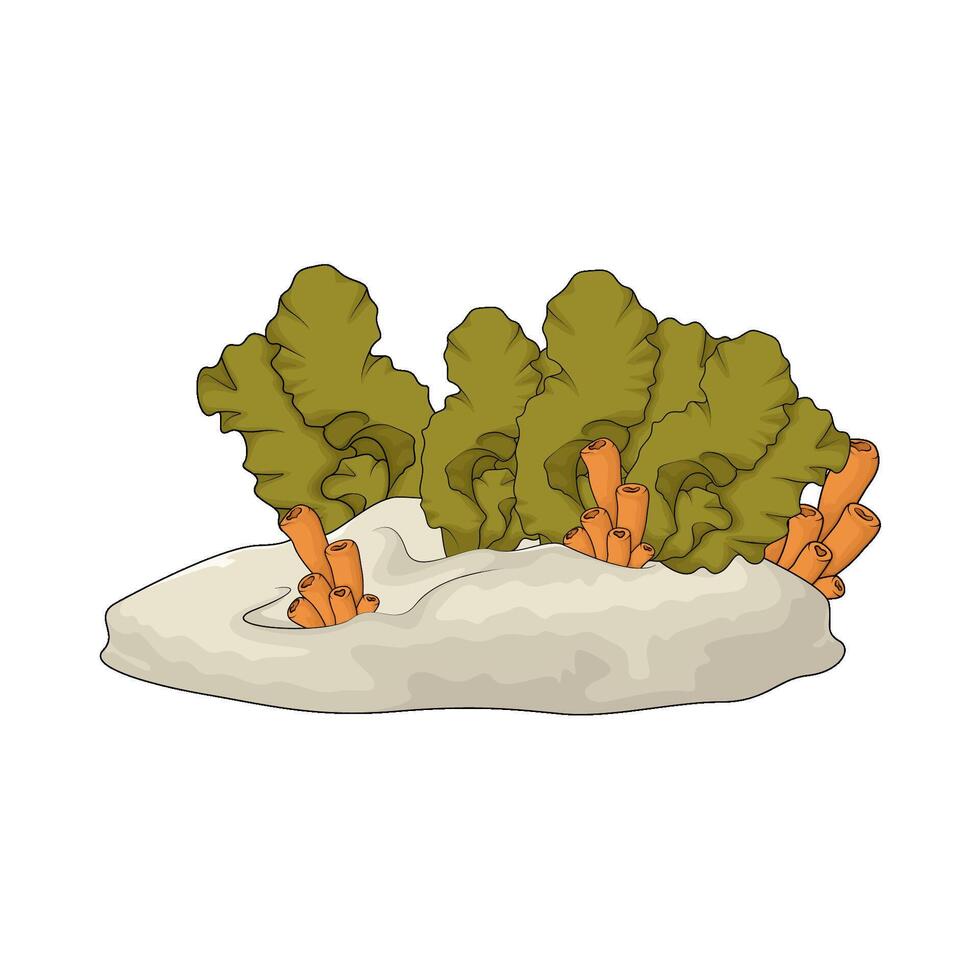 fresh seaweed and coral tube vector