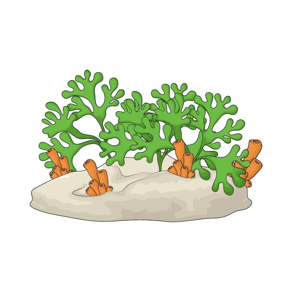 fresh seaweed with coral tube vector