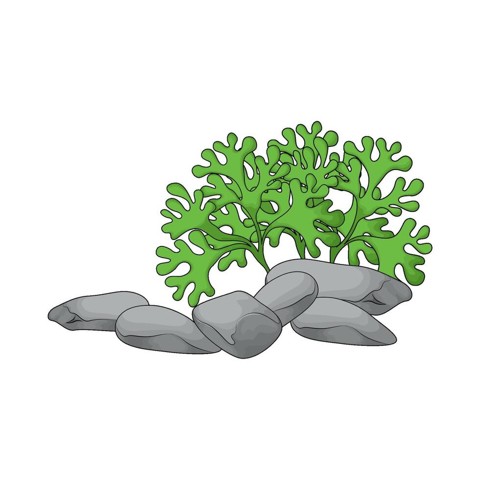 seaweed with sea rocks vector