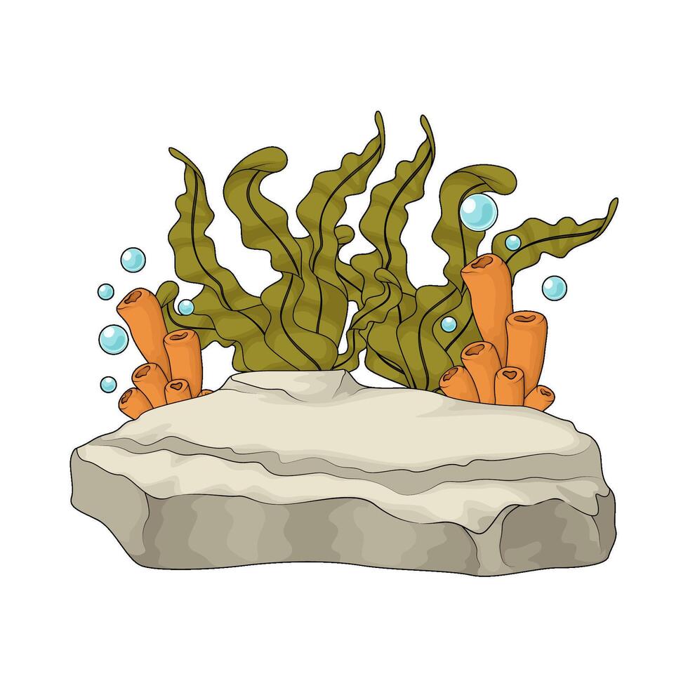 illustration of seaweed with bubble vector