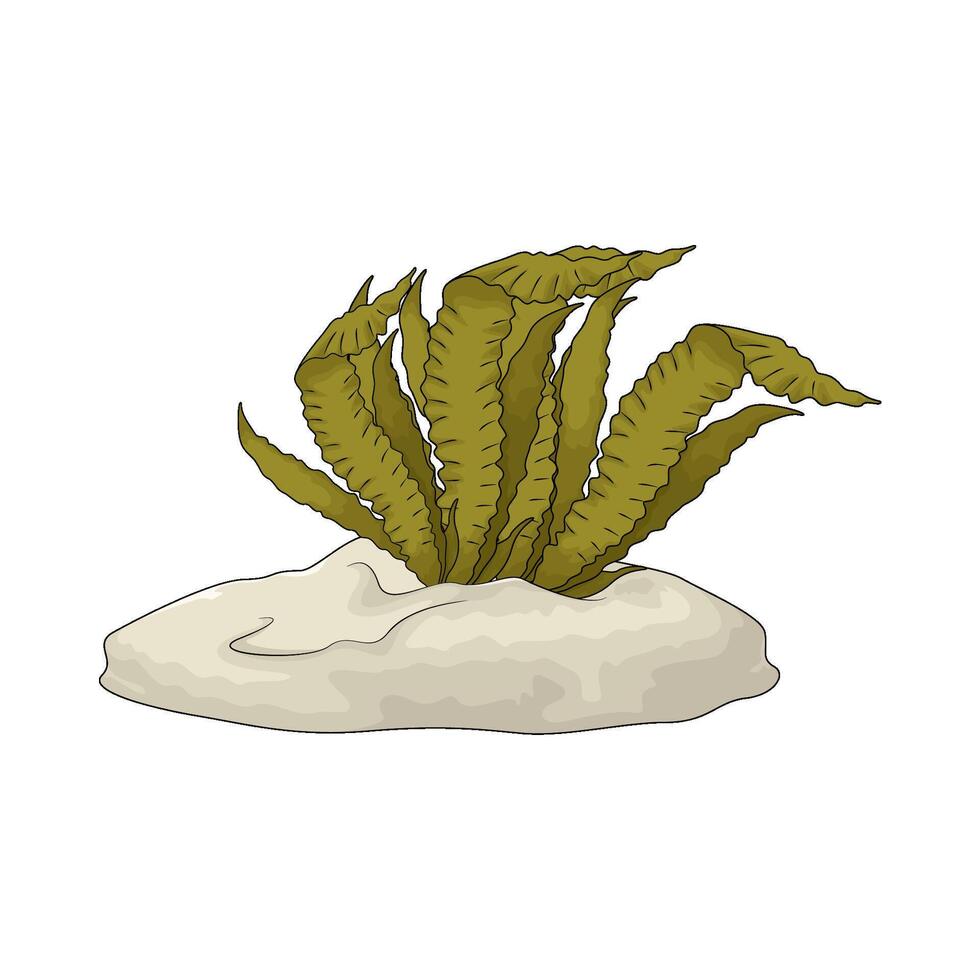 illustration of seaweed with sea sand vector
