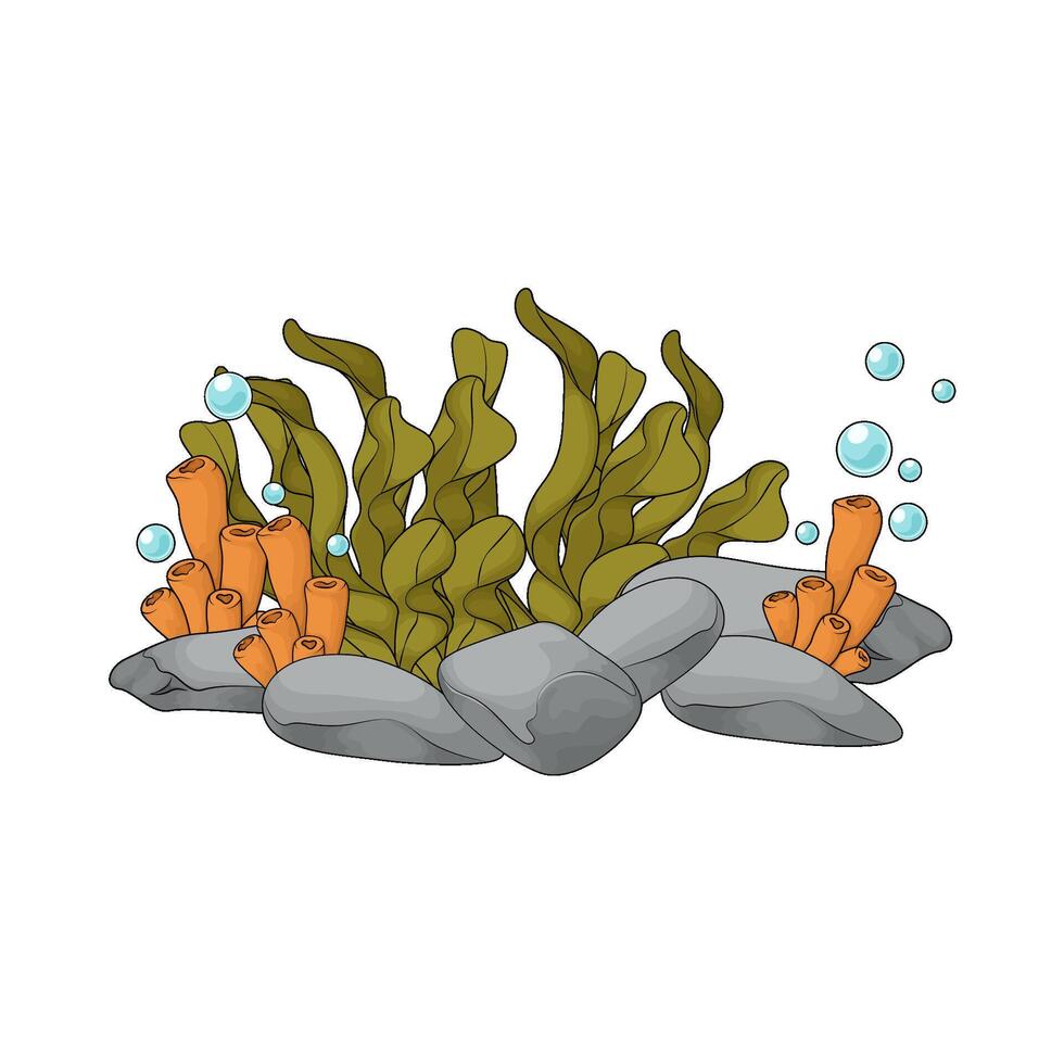 seaweed and bubbles illustration vector