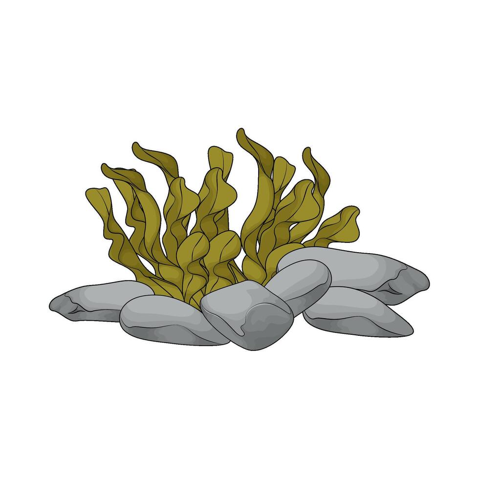 illustration of seaweed with sea rocks vector