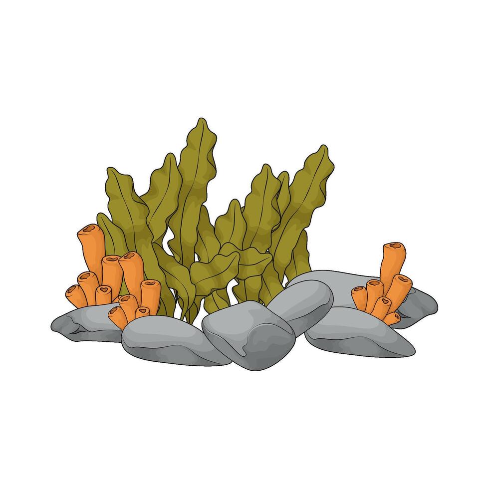 Seaweed and tube coral vector