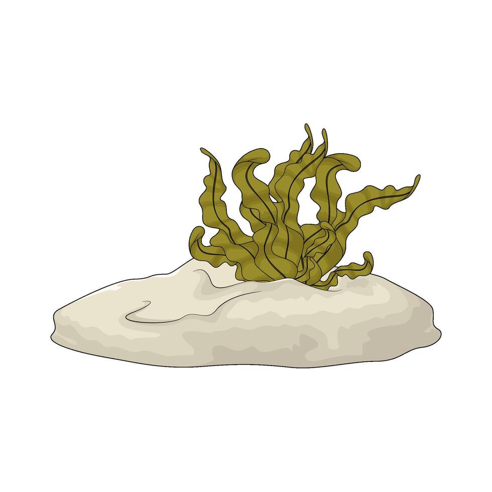 seaweed with sea sand vector