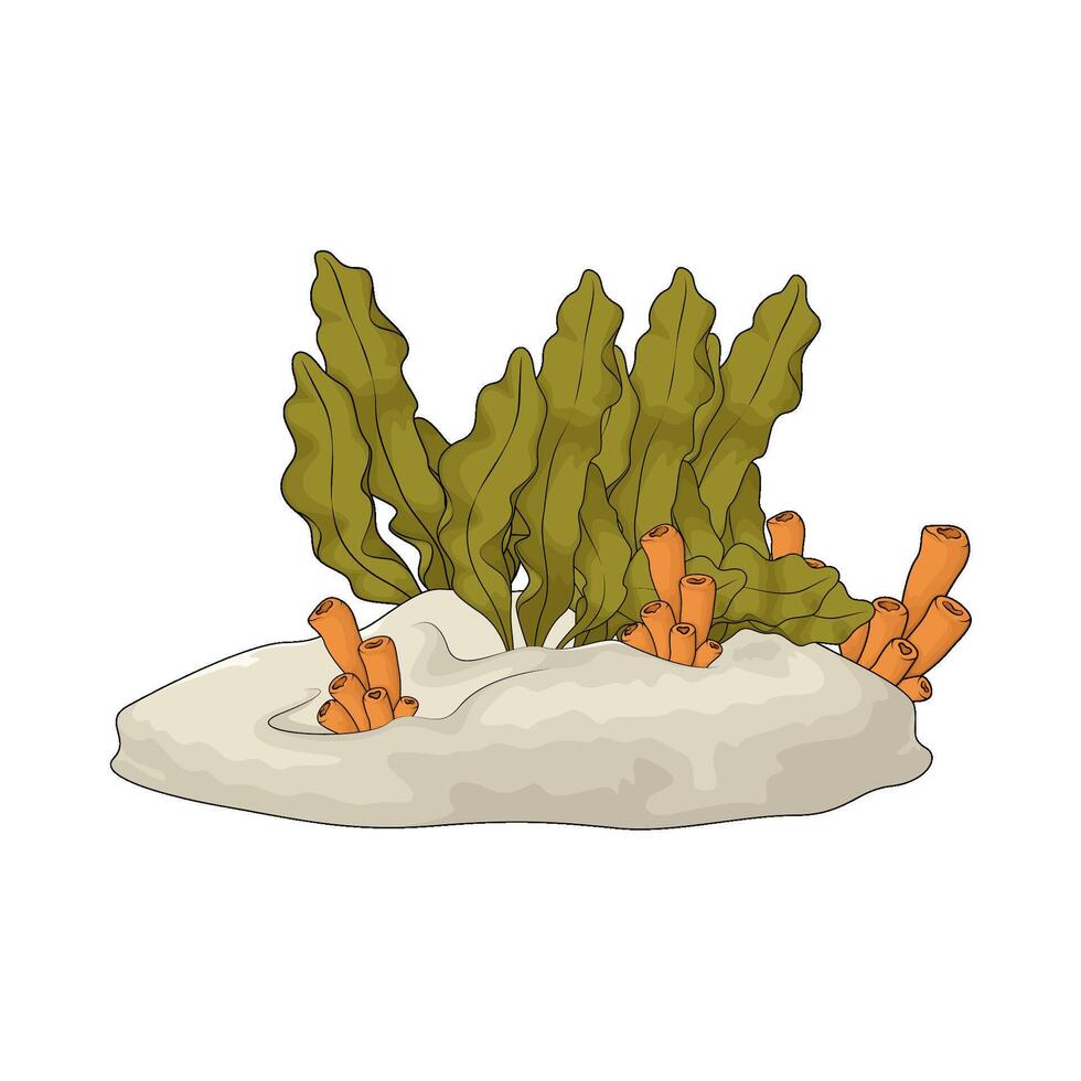 illustration of fresh seaweed and coral tube vector