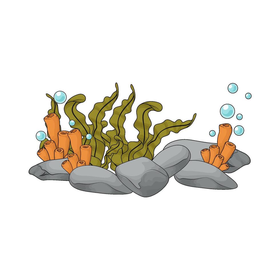 seaweed and bubble illustration vector