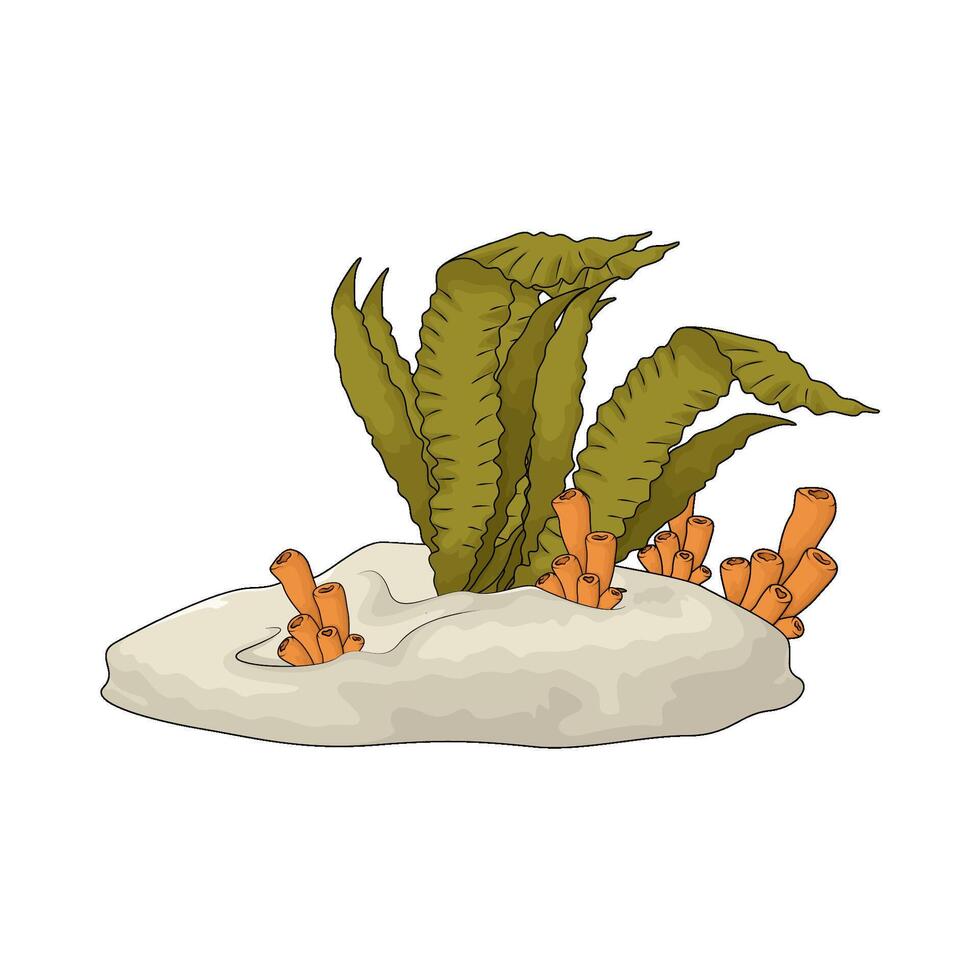 illustration of Seaweed with tube coral vector