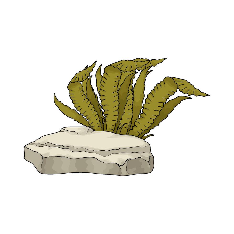 illustration of Seaweed underwater vector