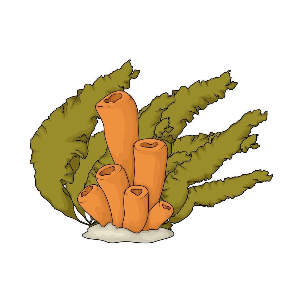 coral tube and seaweed vector