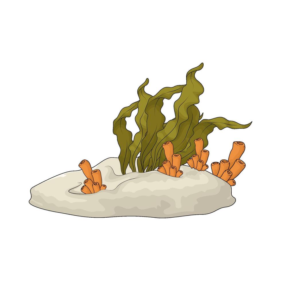 illustration of coral tube and seaweed vector