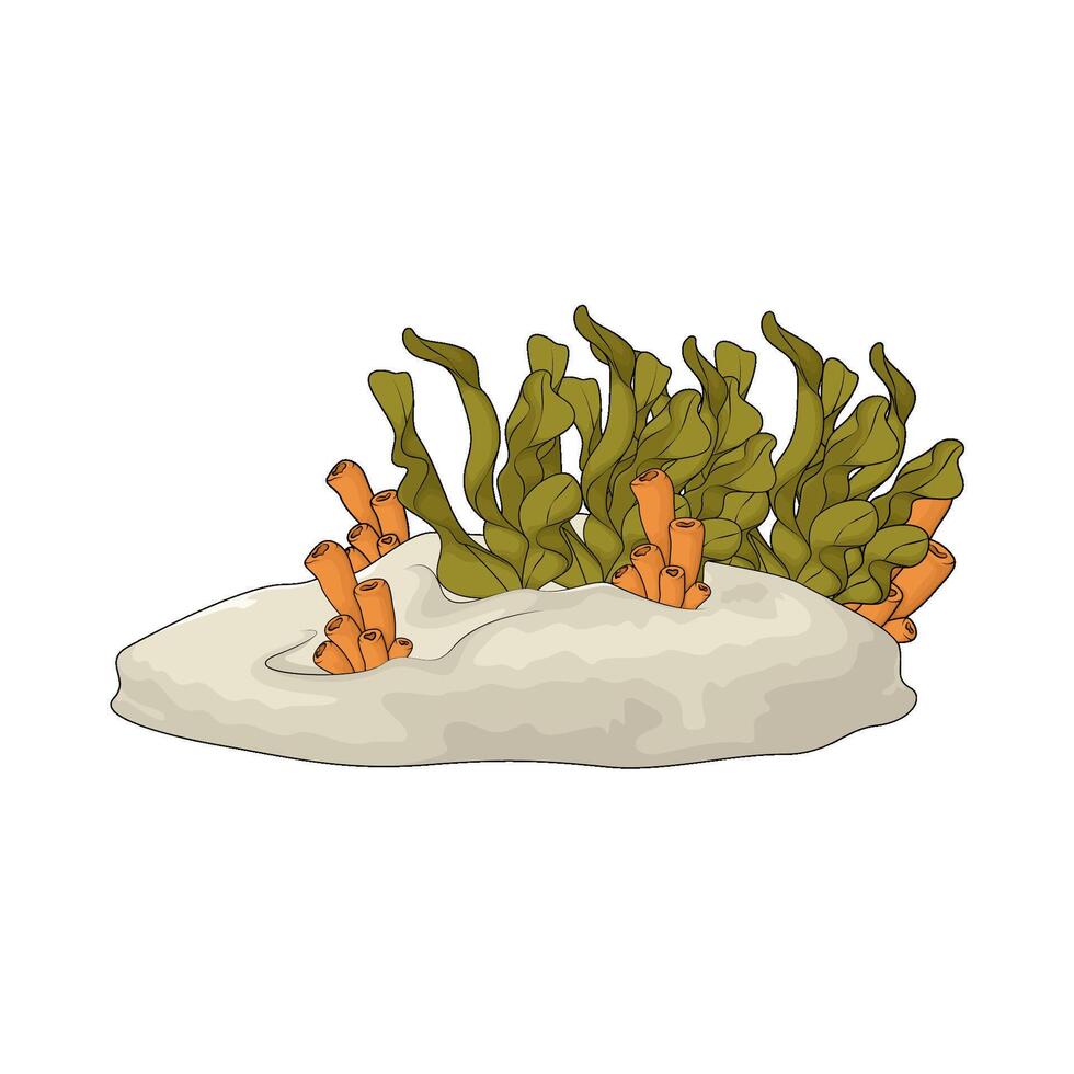 coral tube with seaweed vector