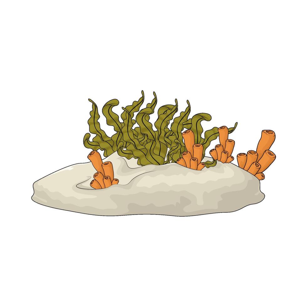 Seaweed with tube coral illustration vector