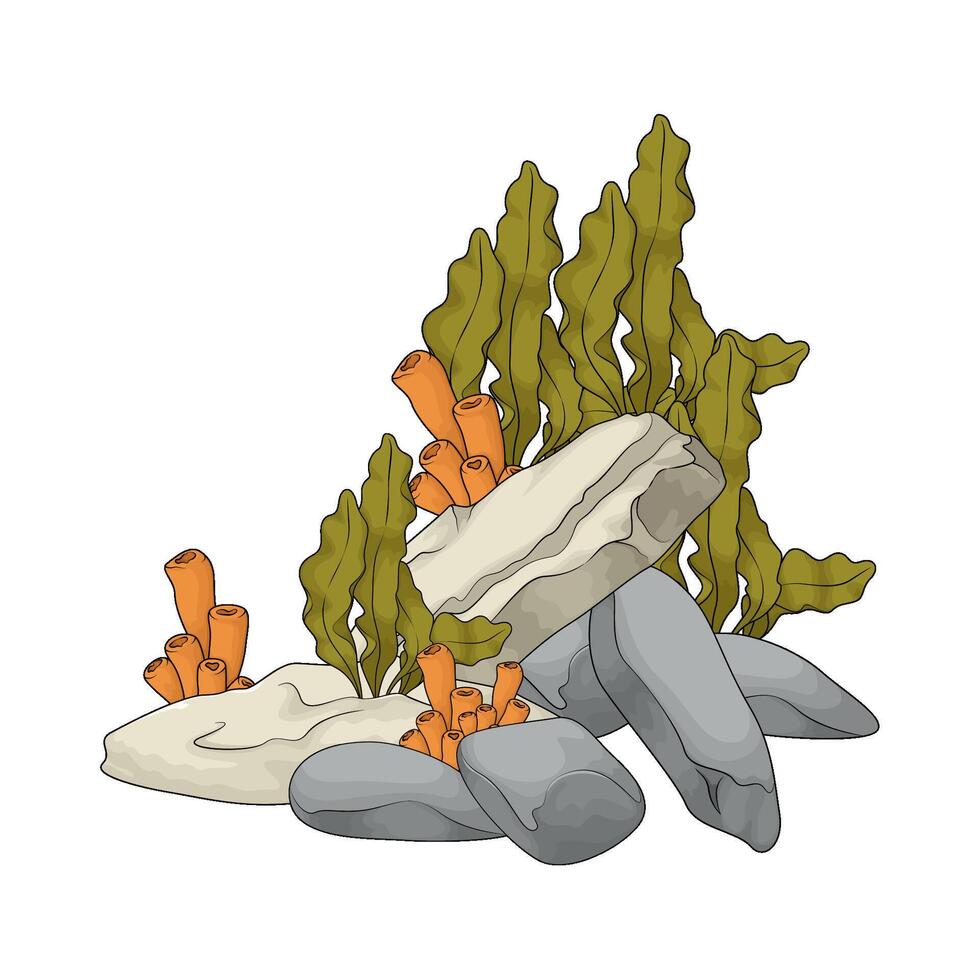 coral and seaweed vector