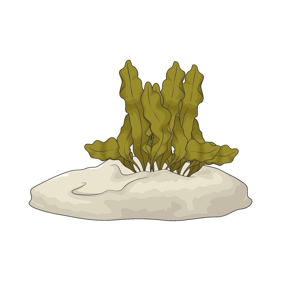 seaweed under the sea illustration vector