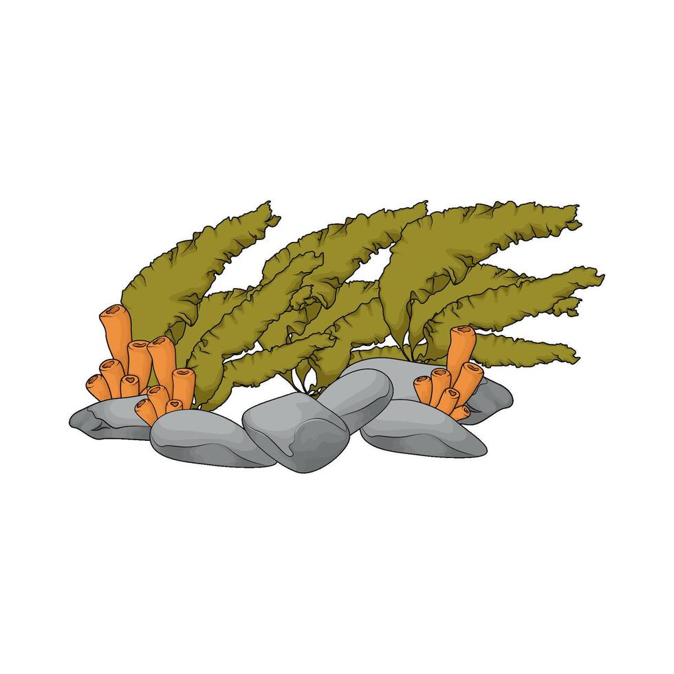 Seaweed 3 merge vector
