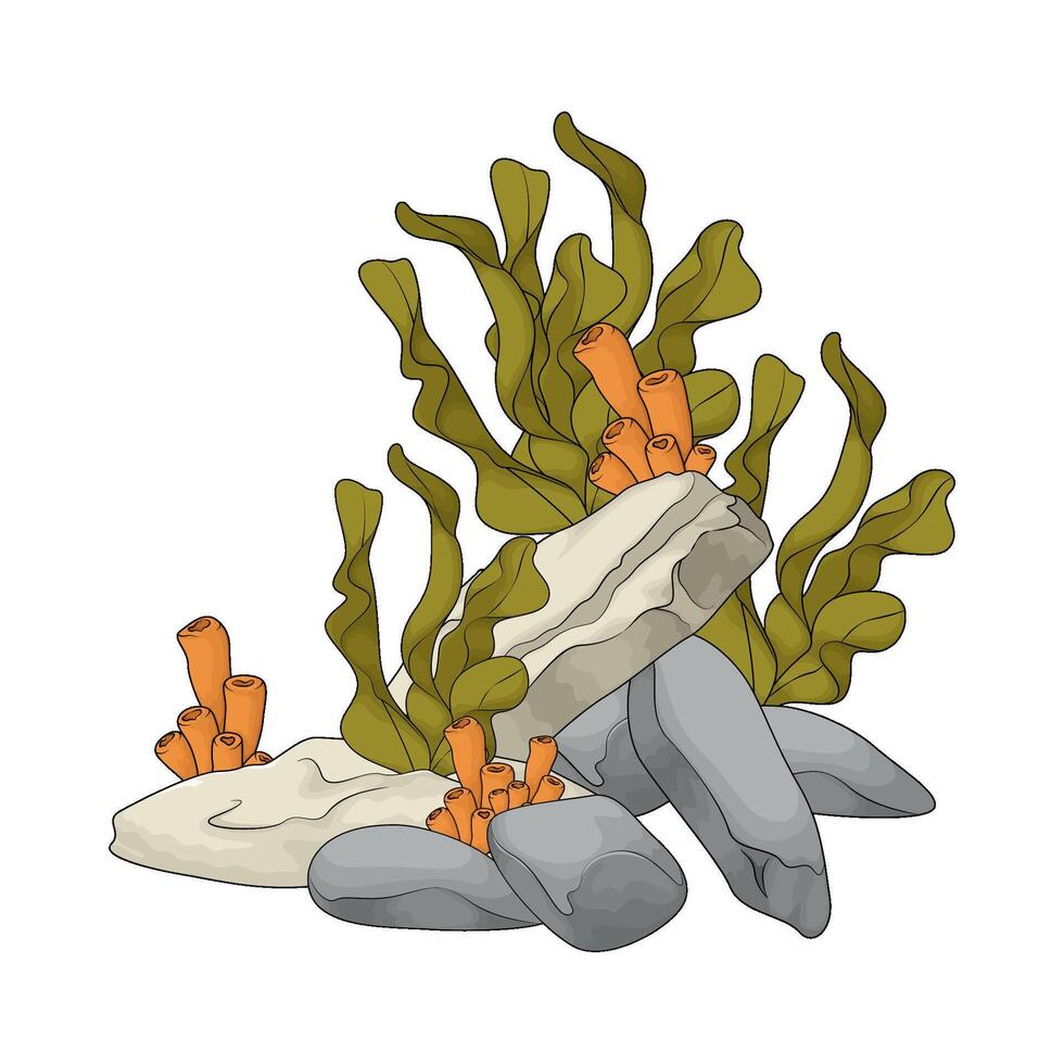 fresh seaweed underwater vector