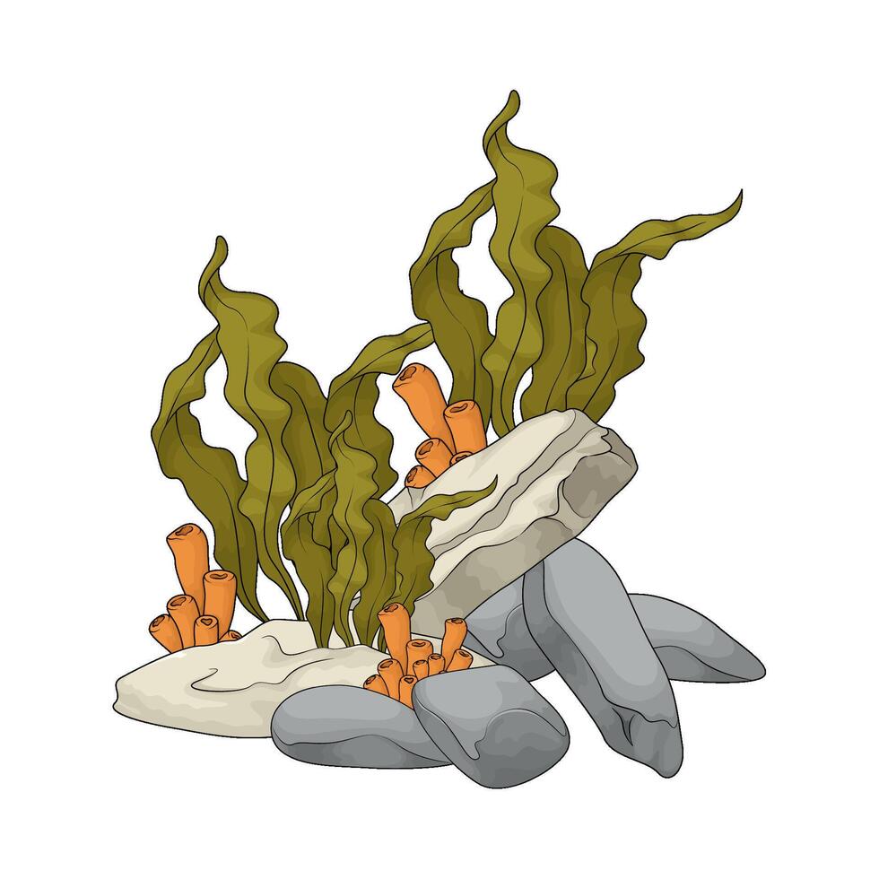 seaweed and coral vector
