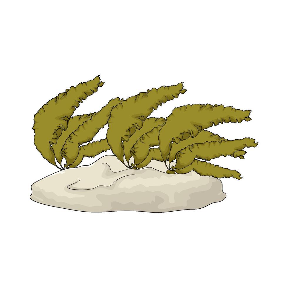 seaweed under the sea vector