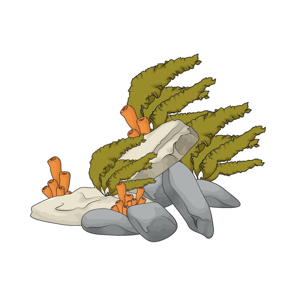 seaweed with coral vector