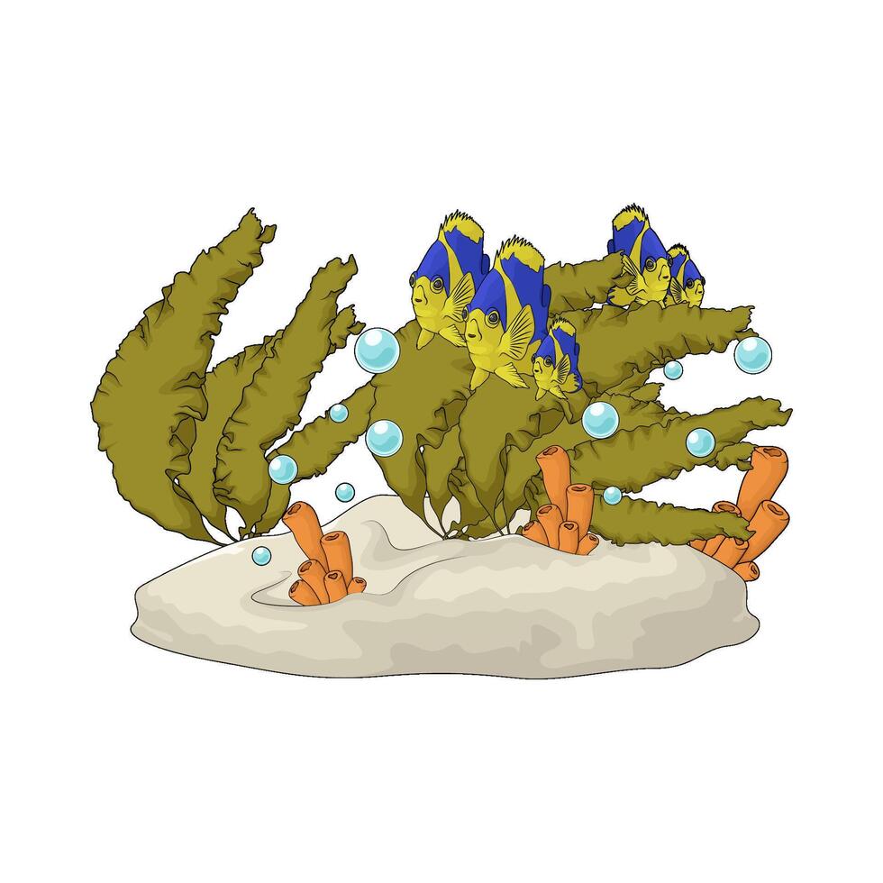 fish near seaweed illustration vector