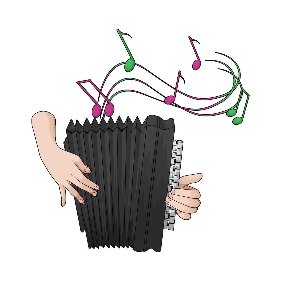 hands playing the accordions illustration vector