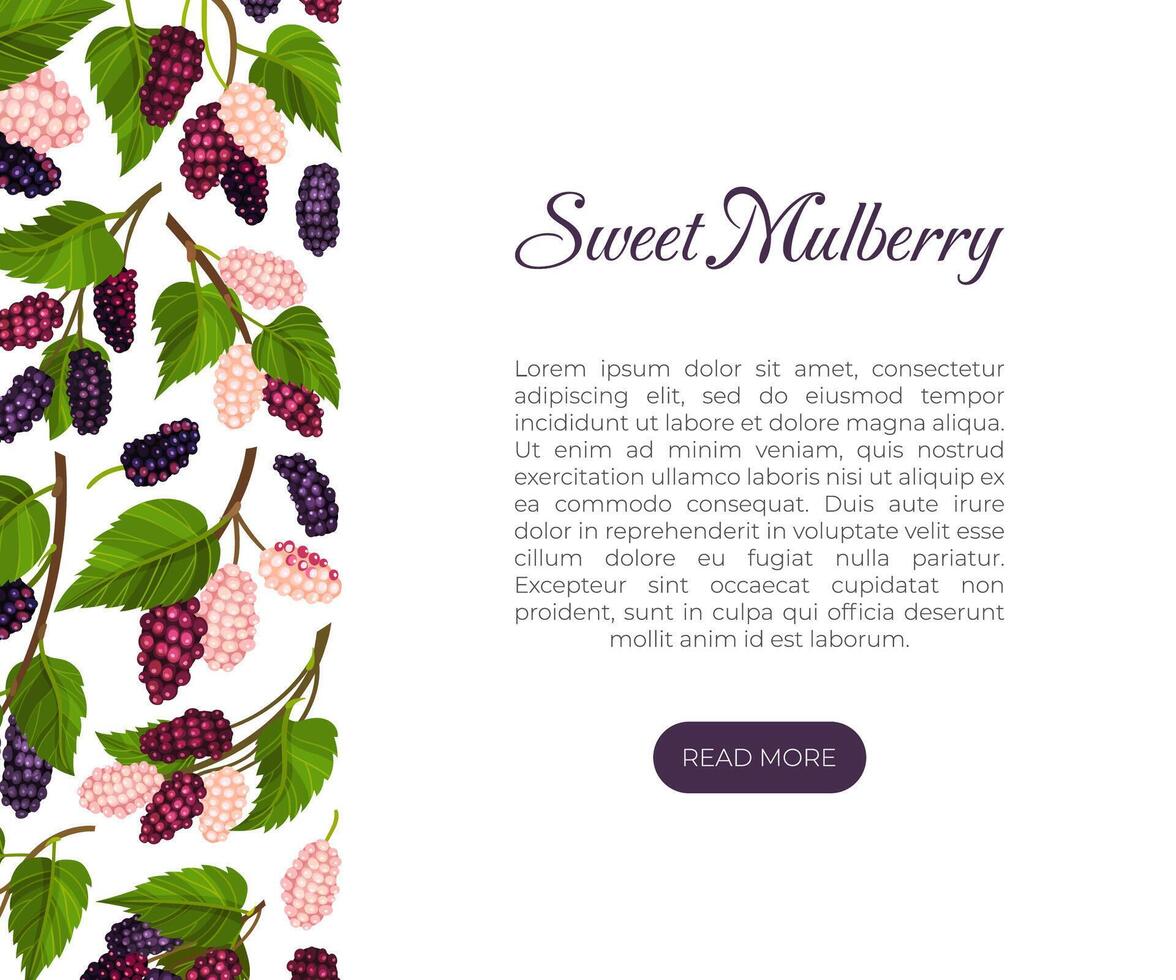 Mulberry Banner Design with Garden Fruit Growing Template vector