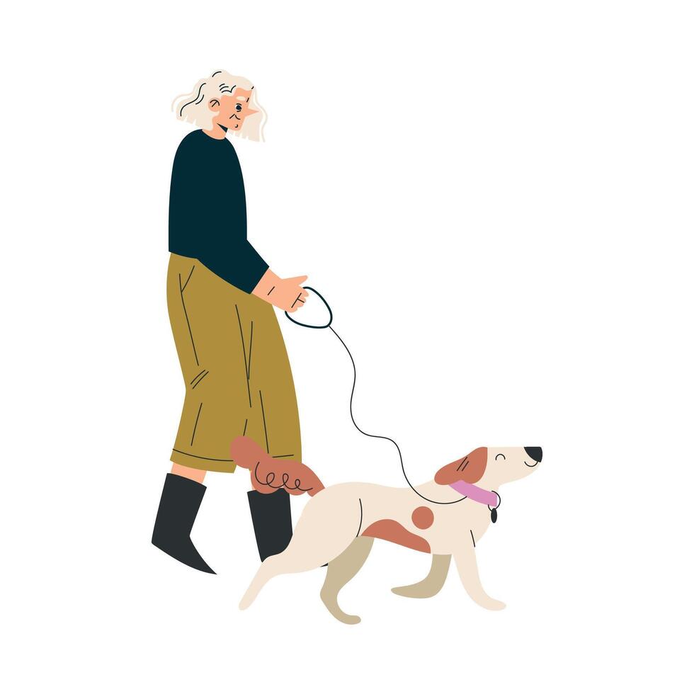 Senior Woman Character Walking Dog with Leash Illustration vector