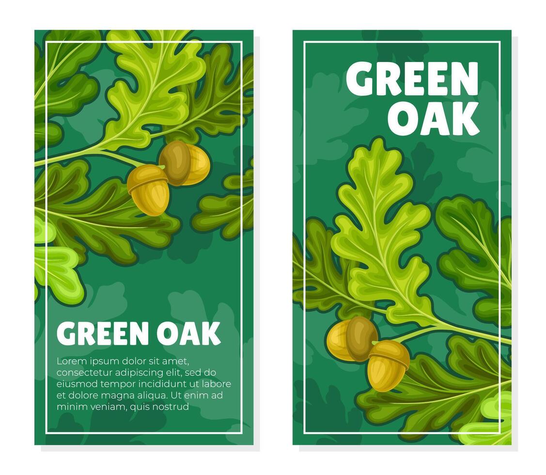 Green Oak Nature Banner Design with Tree Branch and Acorn Template vector