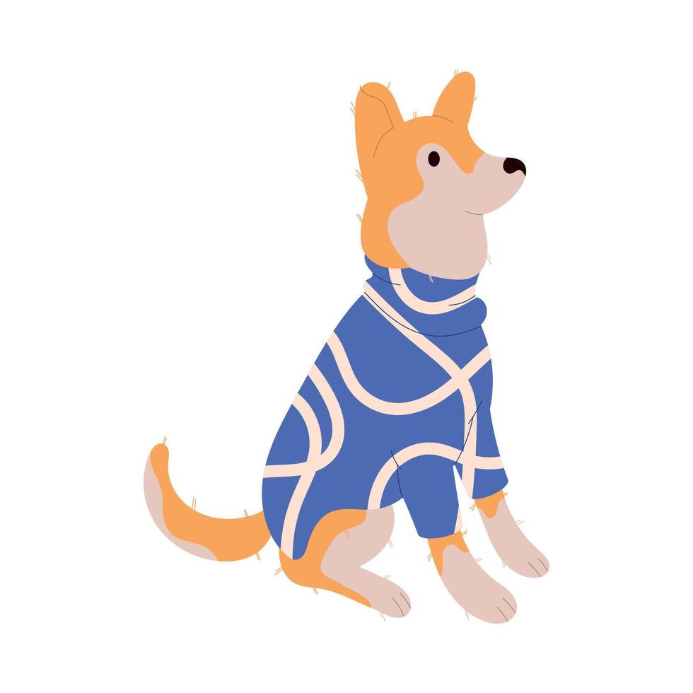 Funny Dog Breed Sitting Wearing Clothes Illustration vector