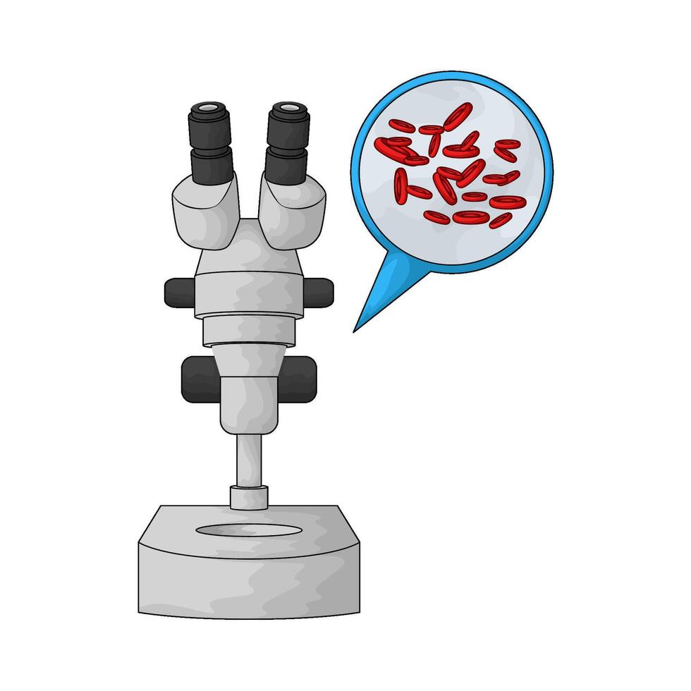Laboratory microscope and blood cell vector