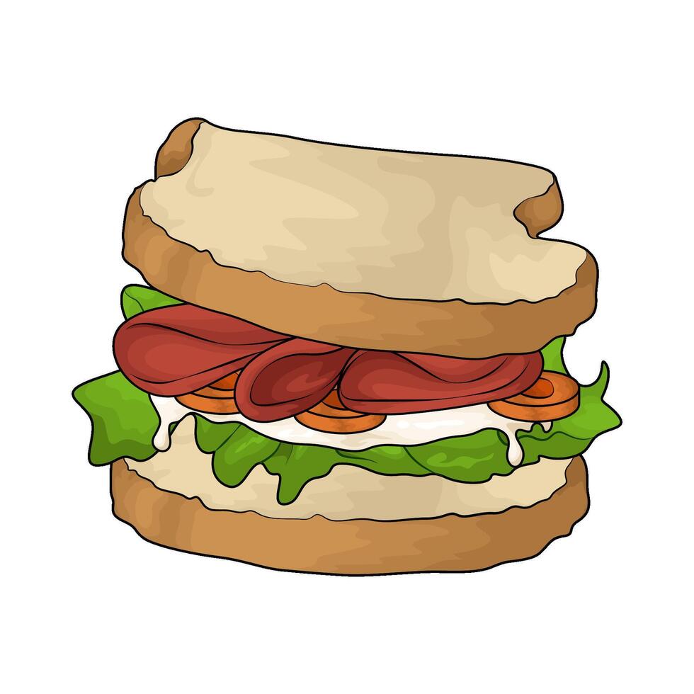 best salami sandwich vector