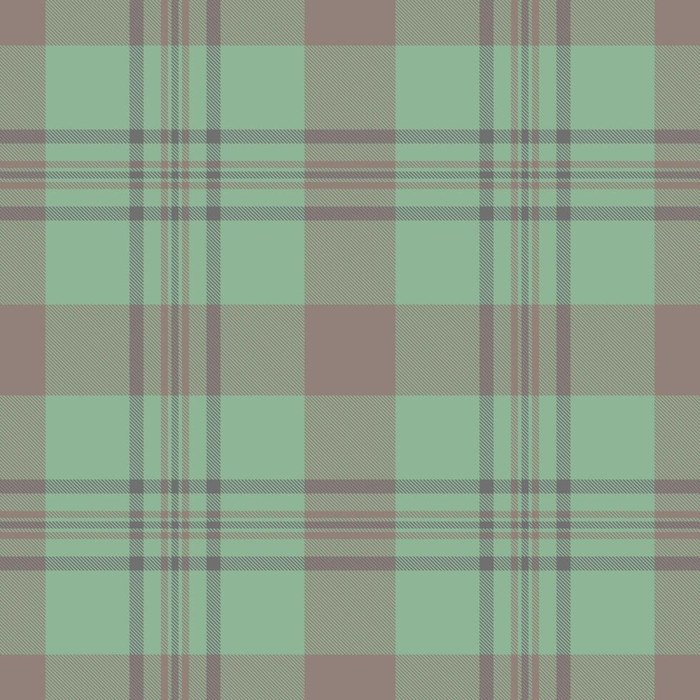 Outline pattern texture fabric, back check seamless. Expressive background plaid textile tartan in pastel and medium gray colors. vector