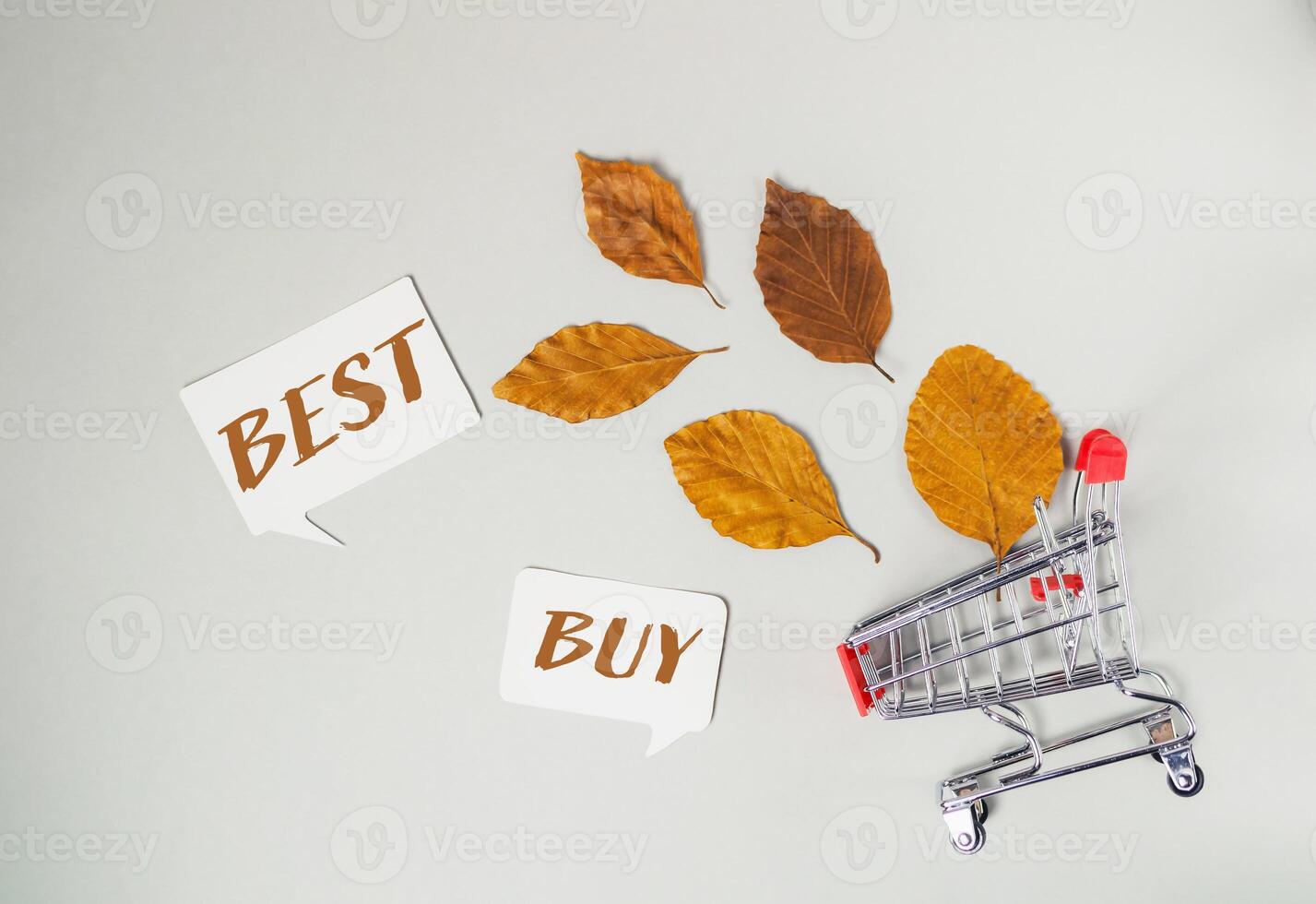 A cart with a sign that says Best Buy photo