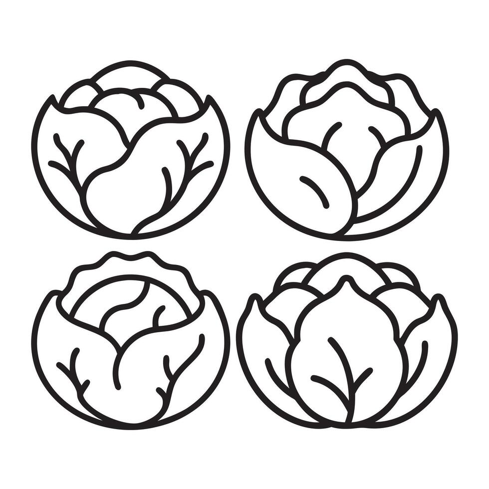 Simple Line Art of Cabbage Heads icons, illustration vector