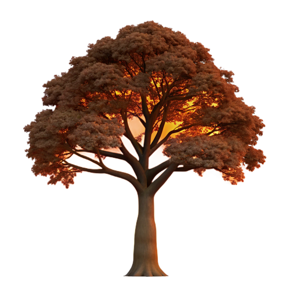 beautiful impressionist A majestic oak tree silhouetted against a fiery sunset. Dramatic lighting, silhouette style authentic png
