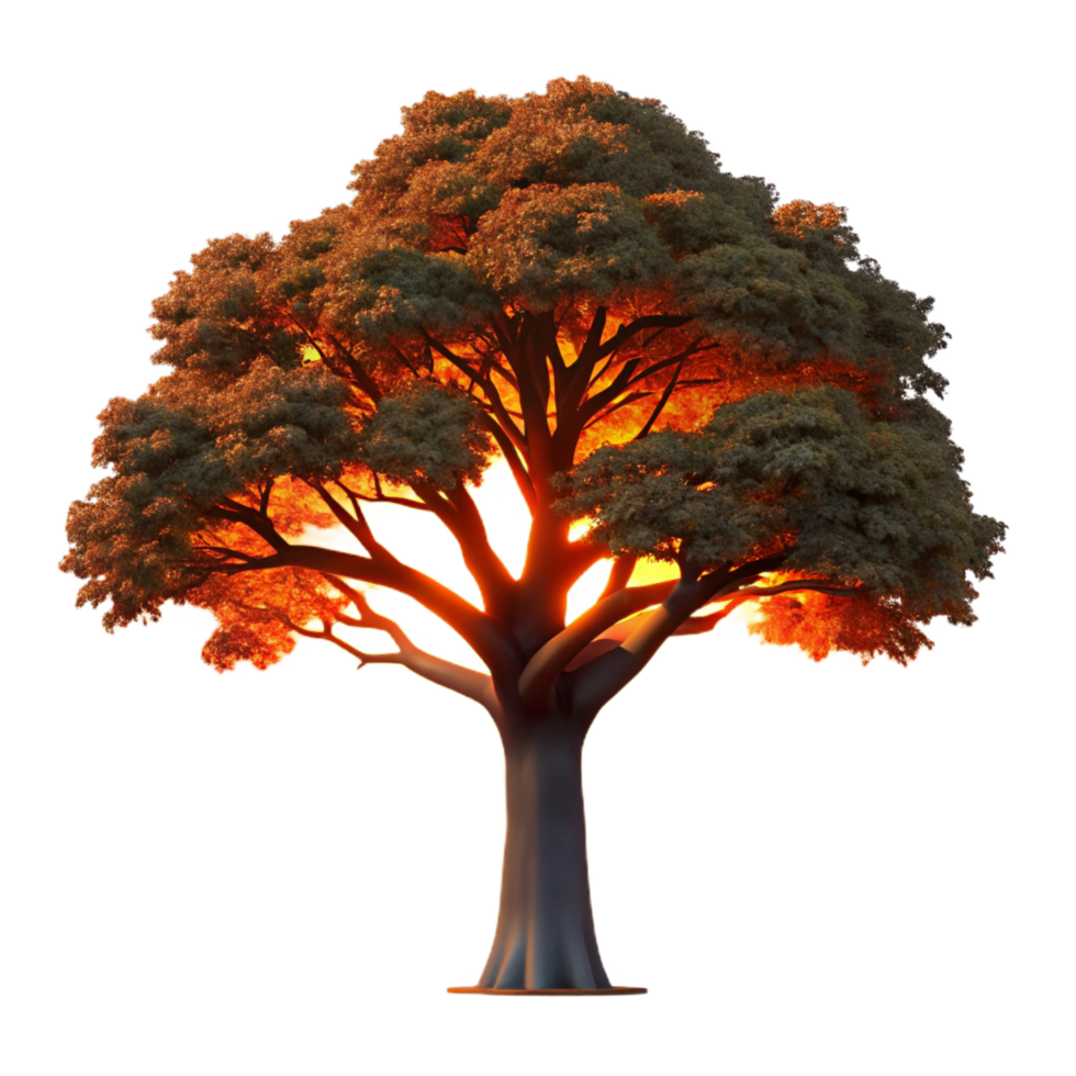 fascinating notable A majestic oak tree silhouetted against a fiery sunset. Dramatic lighting, silhouette style png