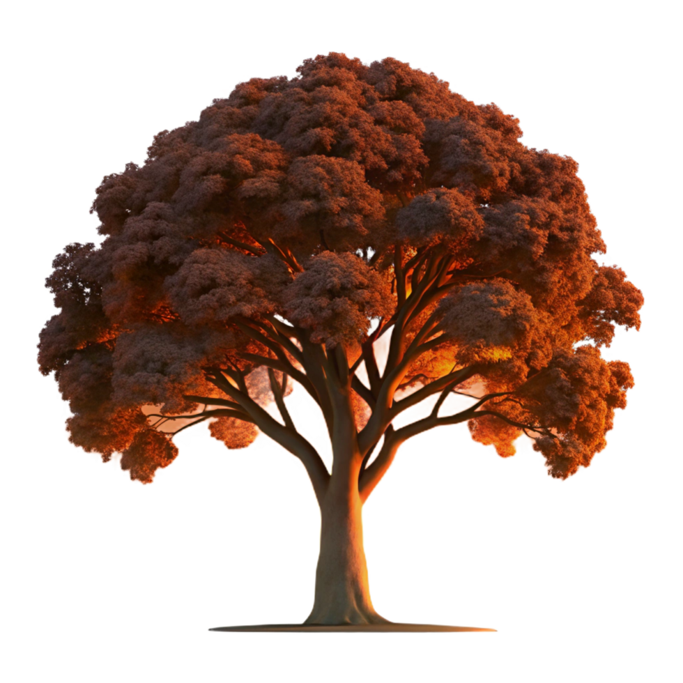 picturesque bohemian A majestic oak tree silhouetted against a fiery sunset. Dramatic lighting, silhouette style perfect clarity png