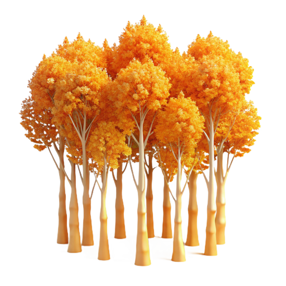 sought after traditional A grove of aspen trees with golden leaves, autumnal colors, warm sunlight, precision png