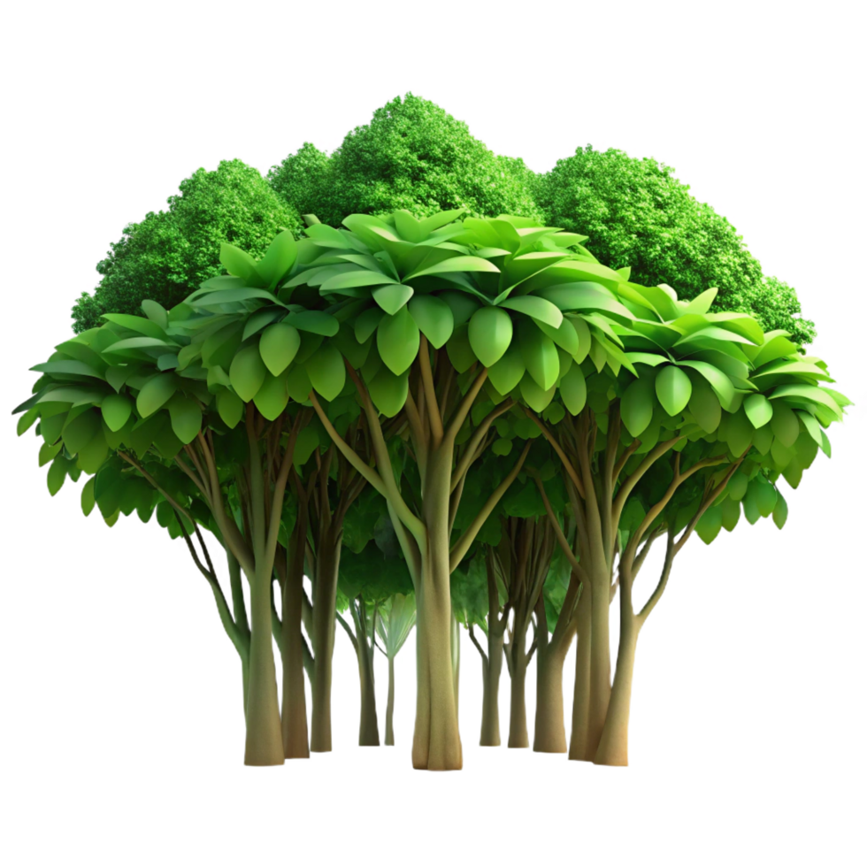 sought after coastal A lush green jungle canopy viewed from below, dappled sunlight, realistic style professional png